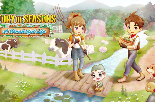 Story of Seasons A Wonderful Life